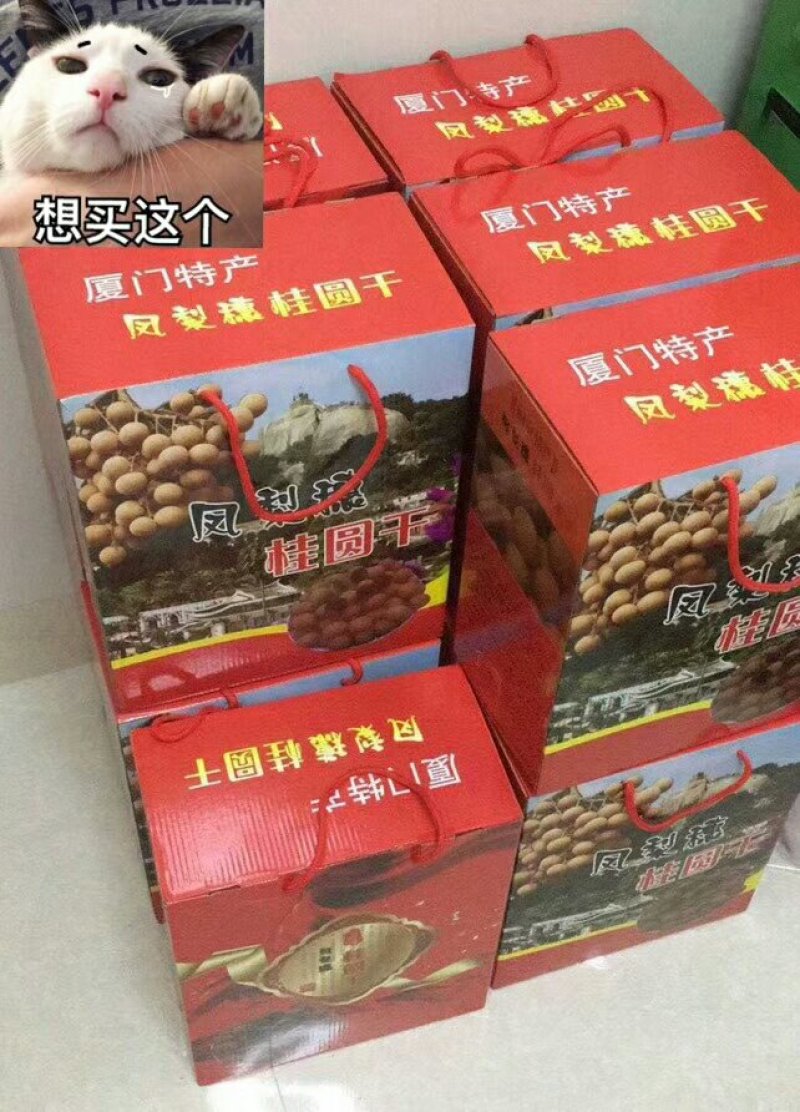 桂圆