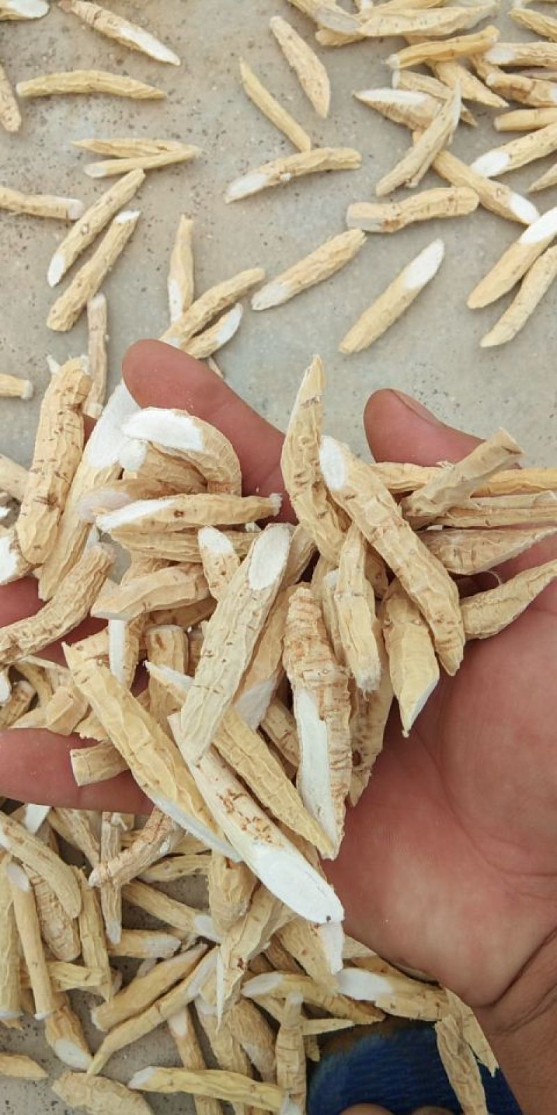 牛大力干片粉质选片