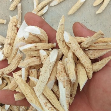 牛大力干片粉质选片
