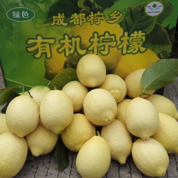 新鲜上市柠檬