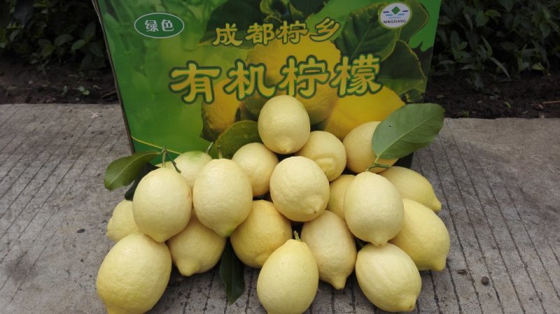 新鲜上市柠檬