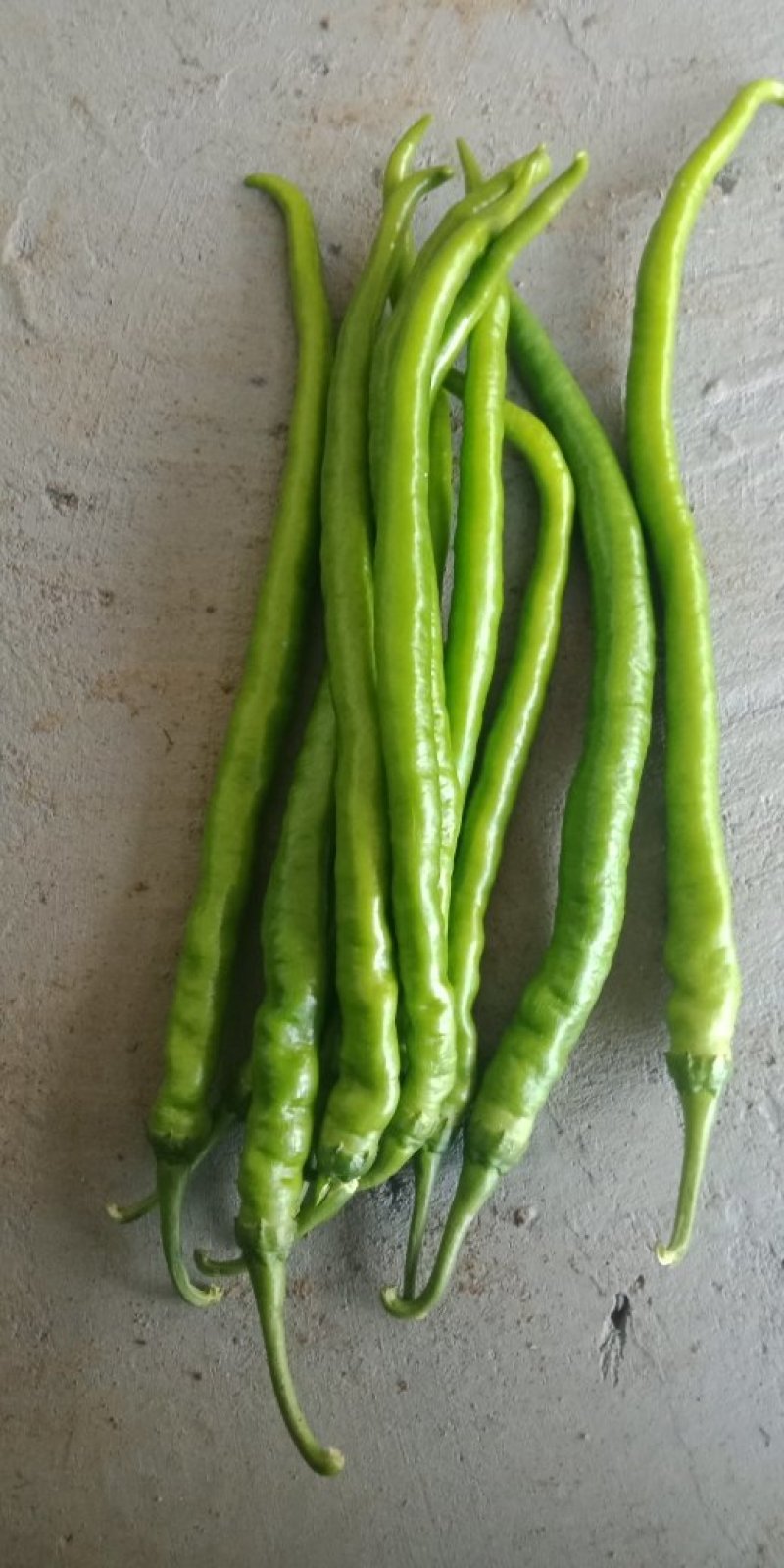 二荆条辣椒