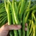 二荆条辣椒