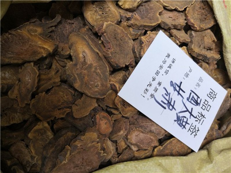 西大黄