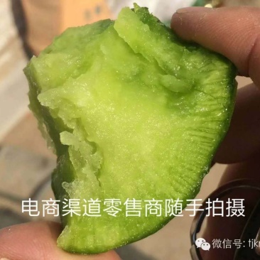 正宗天津沙窝水果萝卜天津特产七星水果萝卜