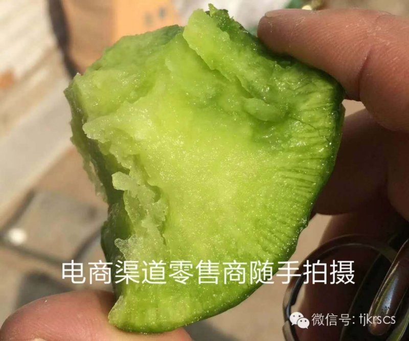 正宗天津沙窝水果萝卜天津特产七星水果萝卜