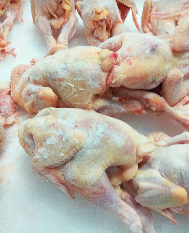 鸡肉