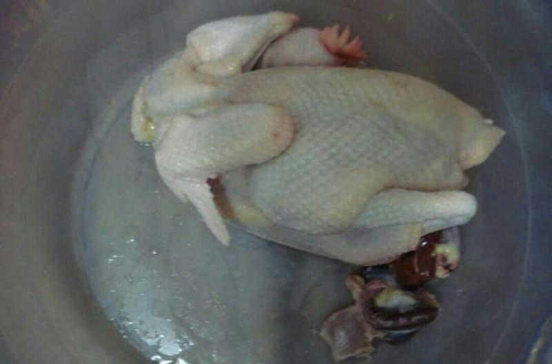 鸡肉
