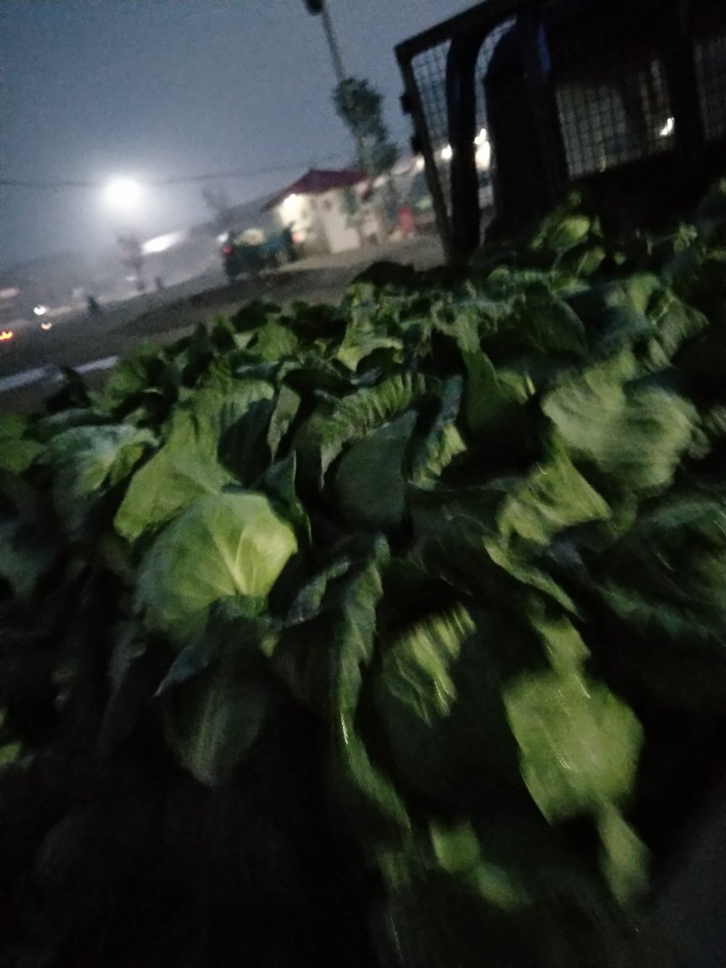 秦皇岛市昌黎县新集镇蔬菜水果市场代办