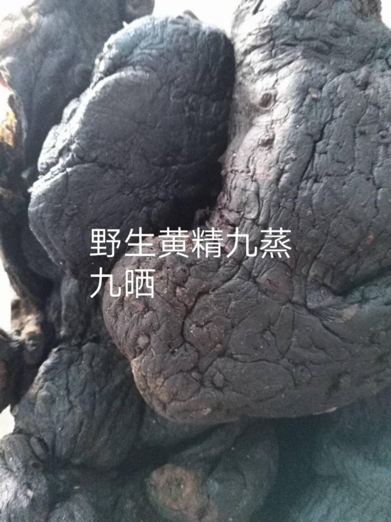 北芪、牛薯、黄精九蒸九晒