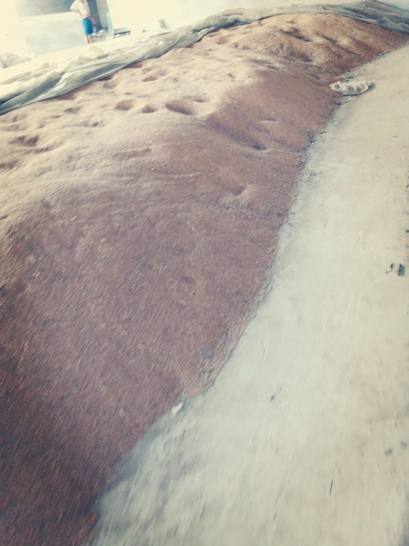 小麦玉米