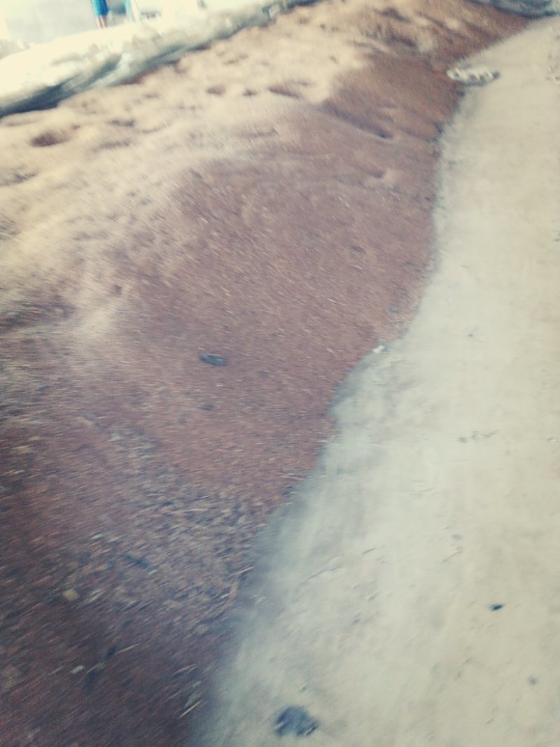 小麦玉米