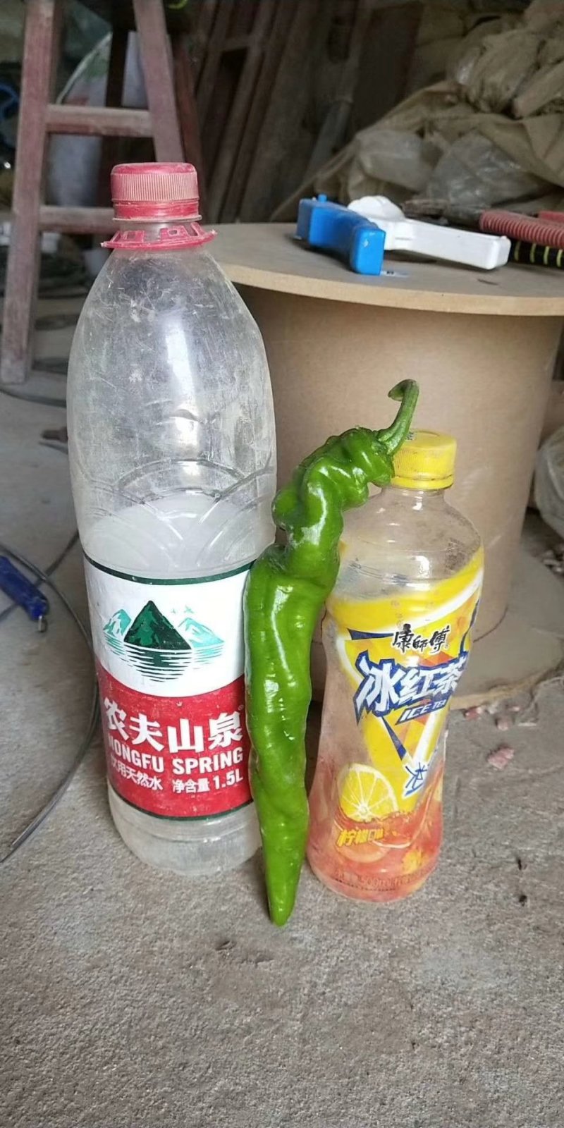 陕西优质辣椒基地