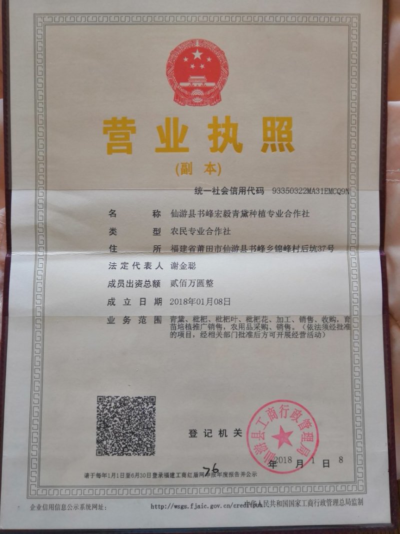宏福建仙游宏毅青黛种植专业合作社宏毅青黛