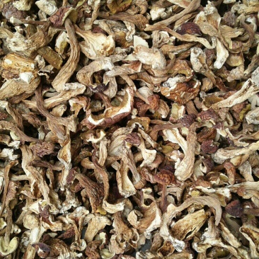 美味牛肝菌干片
