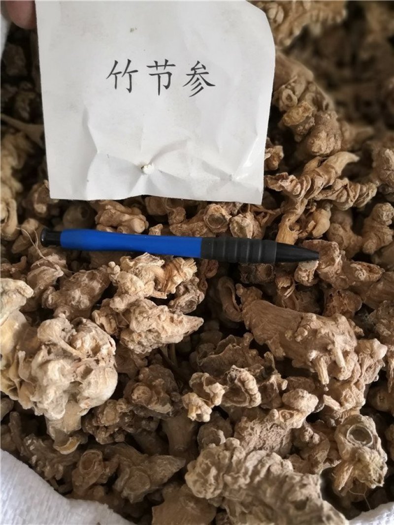 竹节参