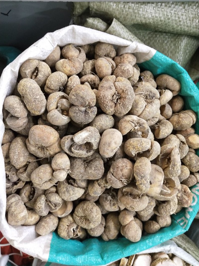 浙贝母另售贝母片浙贝母个子无条件退货