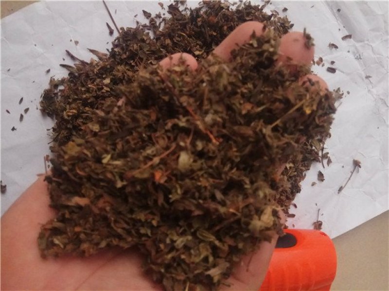 药王茶观音茶茶婆子