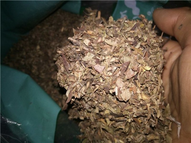 药王茶观音茶茶婆子