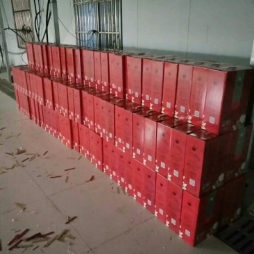 怀远石榴基地