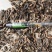 肿节风