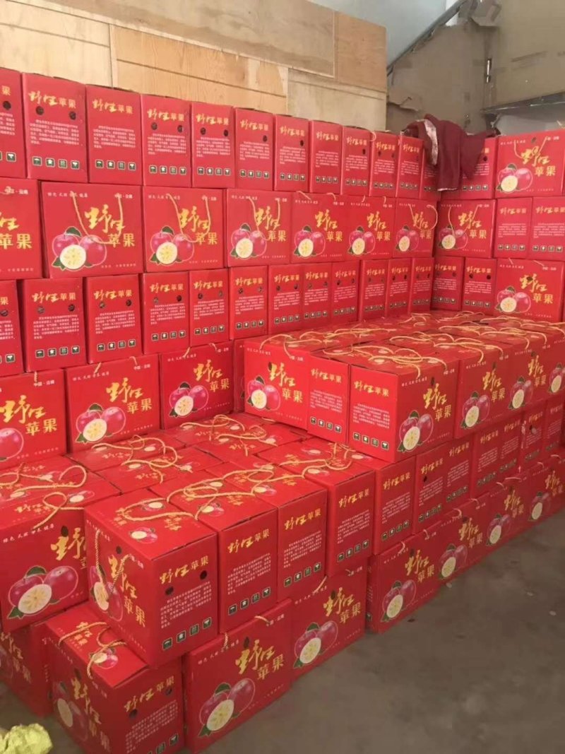108条红套袋早熟果，品质稳定，口感清脆