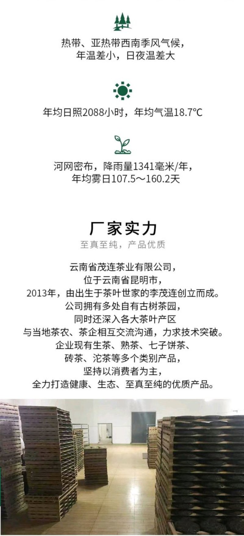 【一件代发】荒山野茶357克/饼普洱茶生茶书声茶包邮