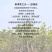 【一件代发】荒山野茶357克/饼普洱茶生茶书声茶包邮