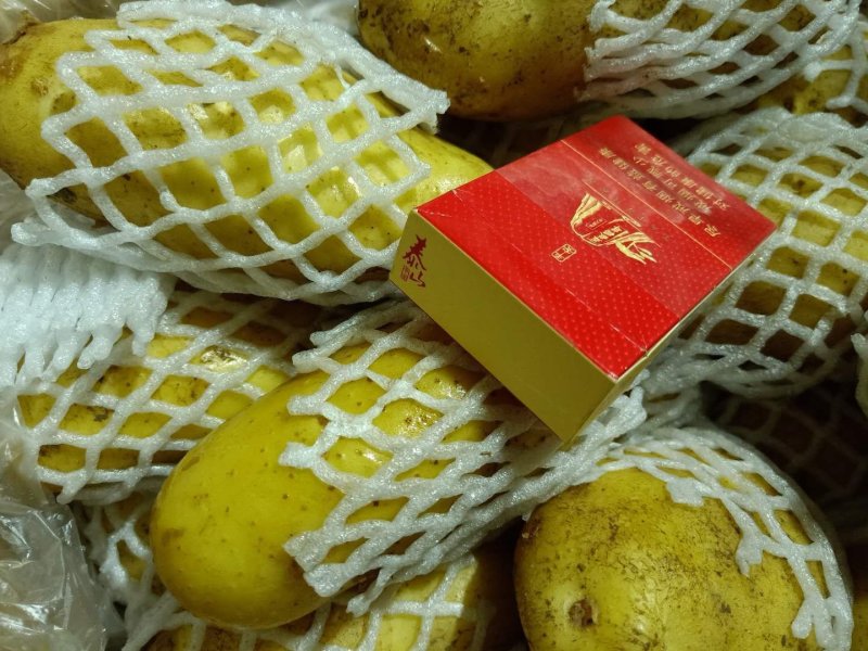 土豆荷兰十五土豆大棚露天冷库土豆可以一件代发希森沃土各种