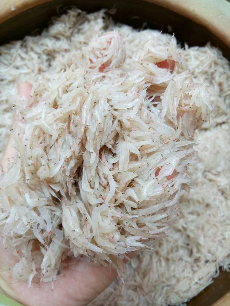 鲜虾酱