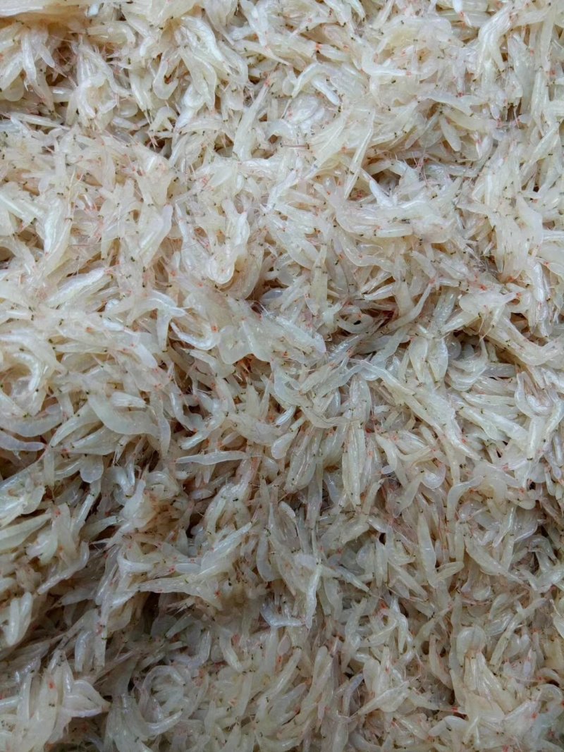 鲜虾酱