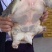 甲鱼