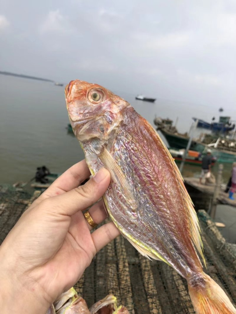 红三鱼干