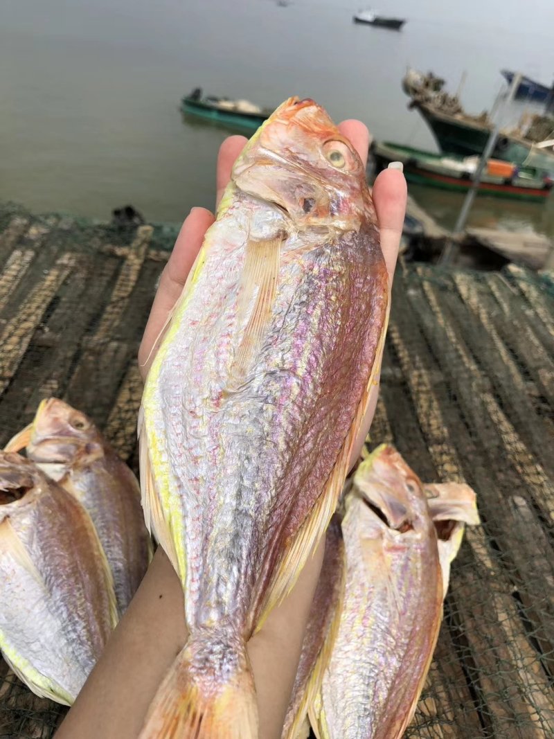 红三鱼干