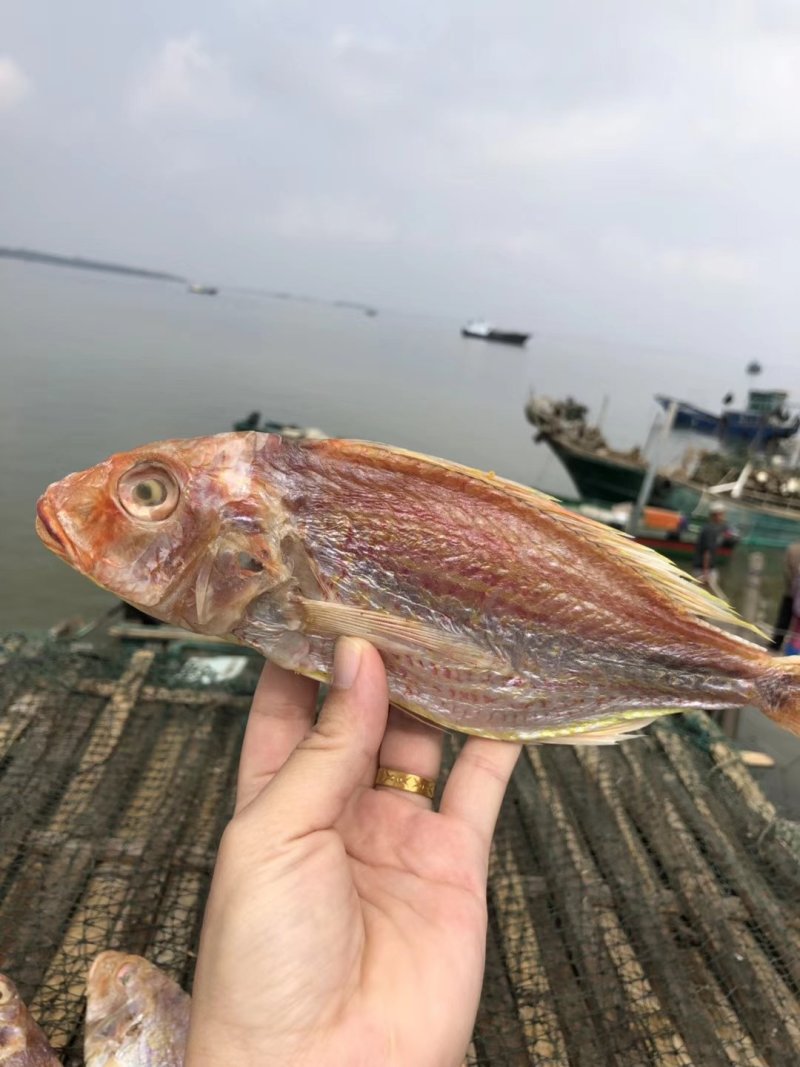 红三鱼干