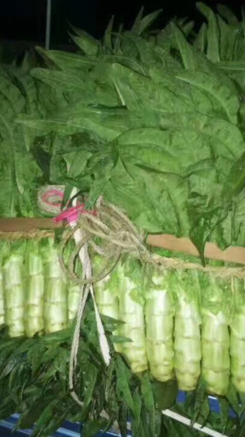 三青莴苣，红尖叶香莴笋，产地直销，青皮青肉，保质保量