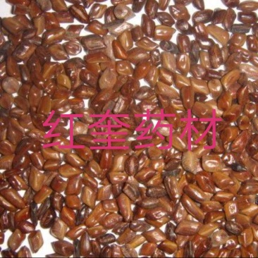 炒决明子炒货货好量大需要多了提前联系