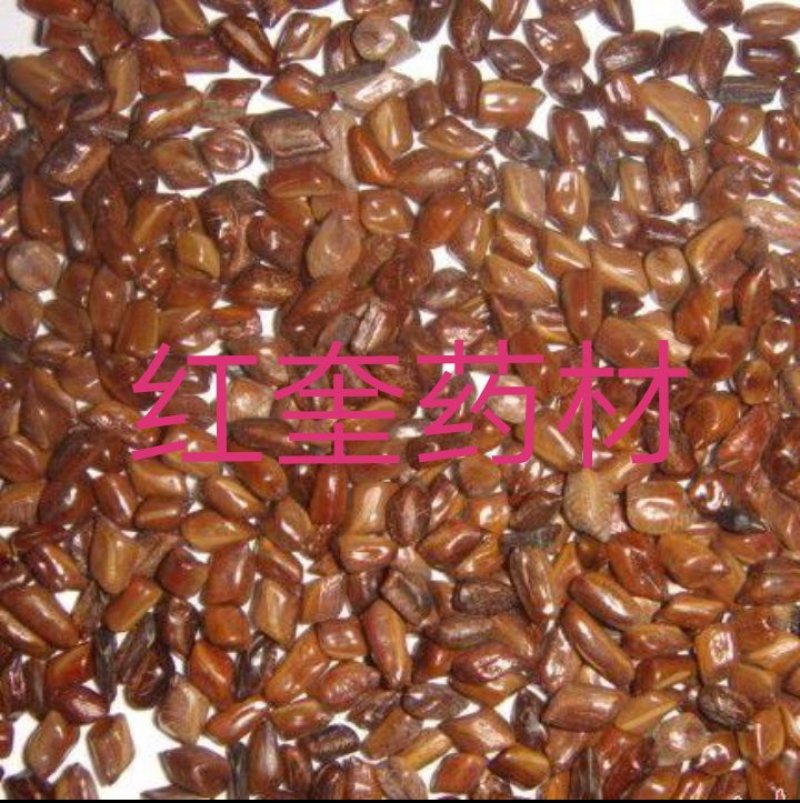 炒决明子炒货货好量大需要多了提前联系