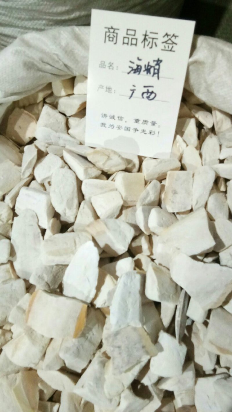 海螵蛸