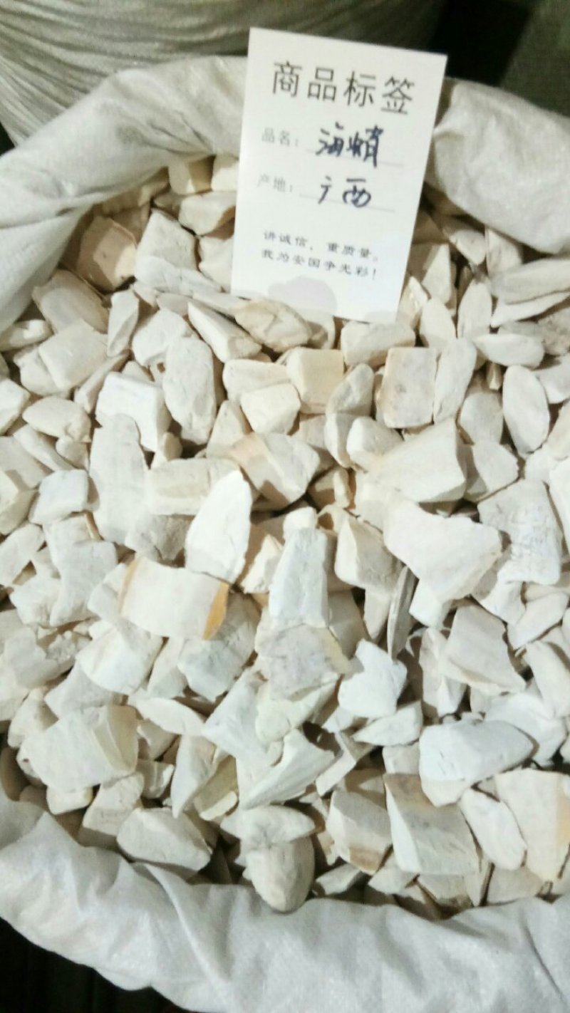 海螵蛸