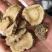 白芷无硫干货散装量大从优产地直销各种规格