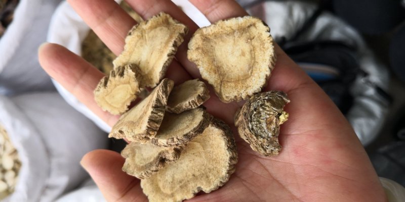 白芷无硫干货散装量大从优产地直销各种规格