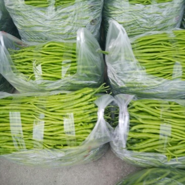 线椒以大量上市如有需要的请于我联系
