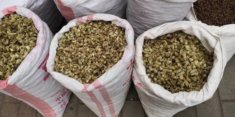 辛夷大花河南干货2斤起包邮量大从优各种规格
