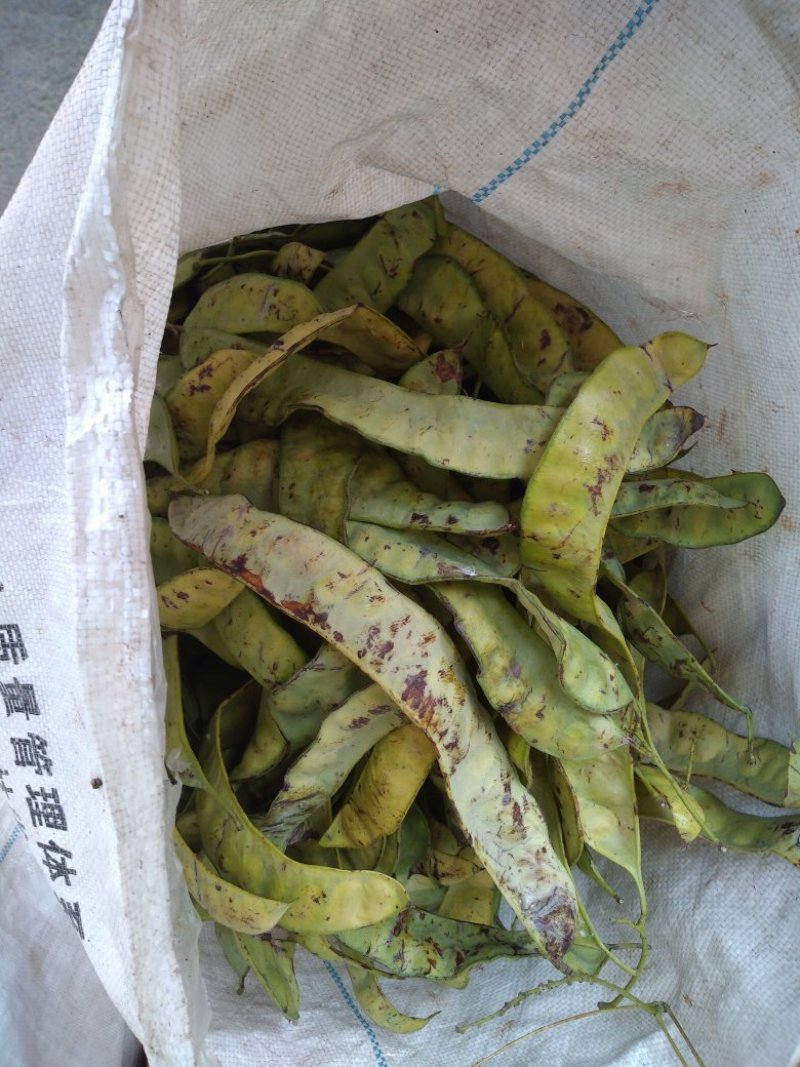出售皂角荚，有需要货的，速度