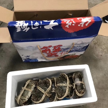 大量螃蟹上市，批发礼盒零售