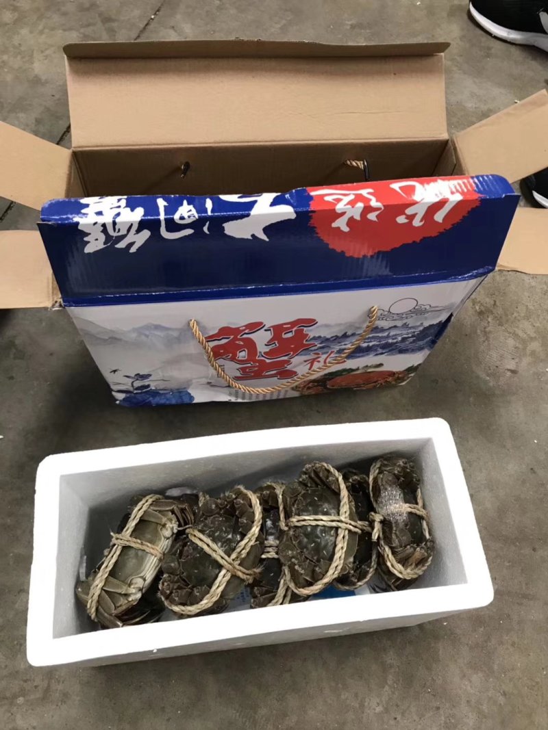 大量螃蟹上市，批发礼盒零售