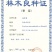 湘蕾金银花苗金翠蕾苗20~90cm【顺丰包邮】