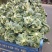 雪玉菜花、精品货！价格便宜！一手货源