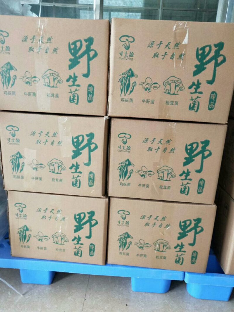 云南野生菌――454克一瓶